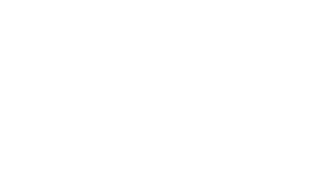 Palo-Alto-Dolphins-logo-white